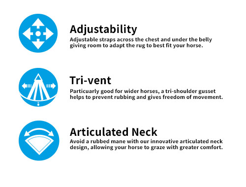 measure your horse for a rug infographic