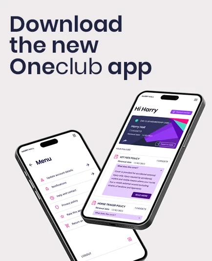 Download the One Club App