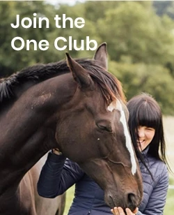 Join the One Club