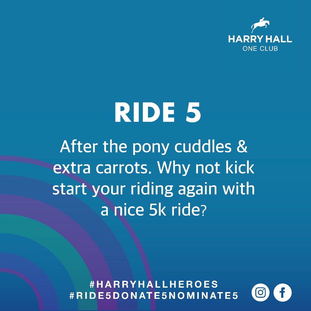 Harry Hall ride 5