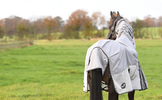 Harry Hall Fly Rug