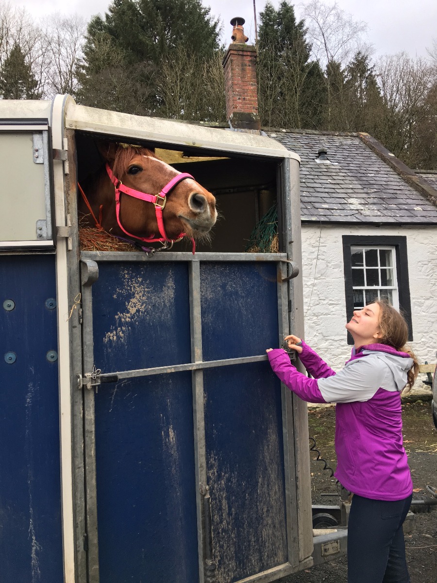 girl overlooking at her horse inside a horsebox