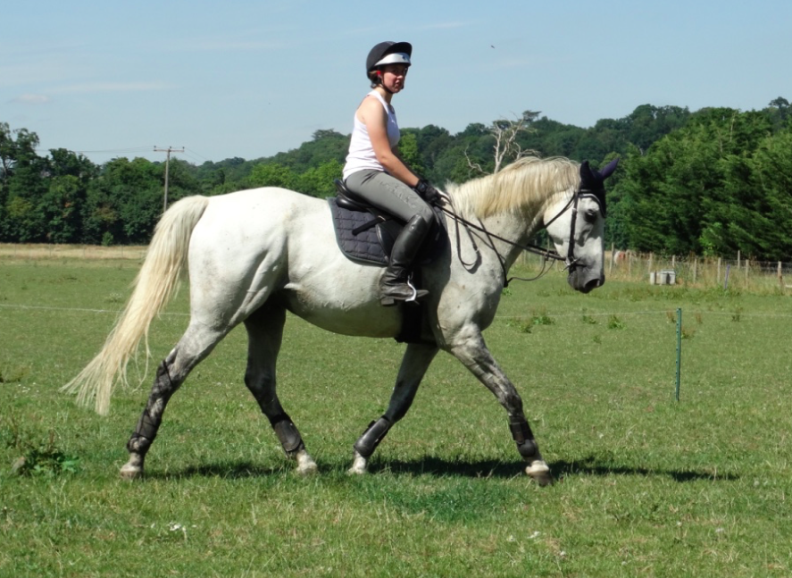 horse rider riding her white horse