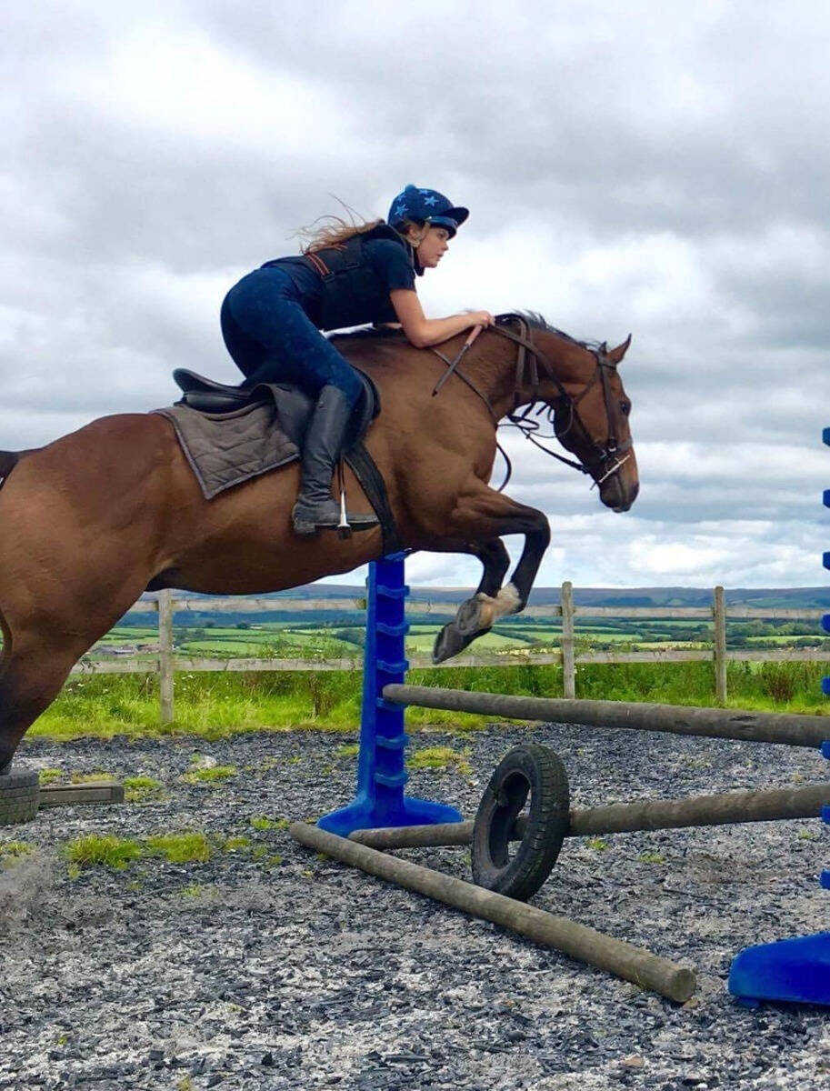 horse jumping an obstacle