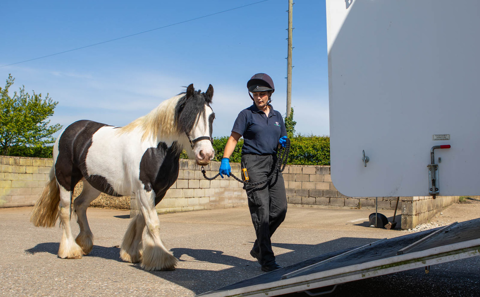 World Horse Welfare | Harry Hall's Charity Partner World Horse Welfare | Harry Hall's Charity Partner