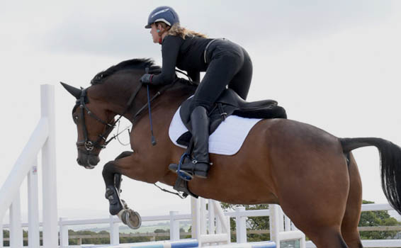 horse riding online shop
