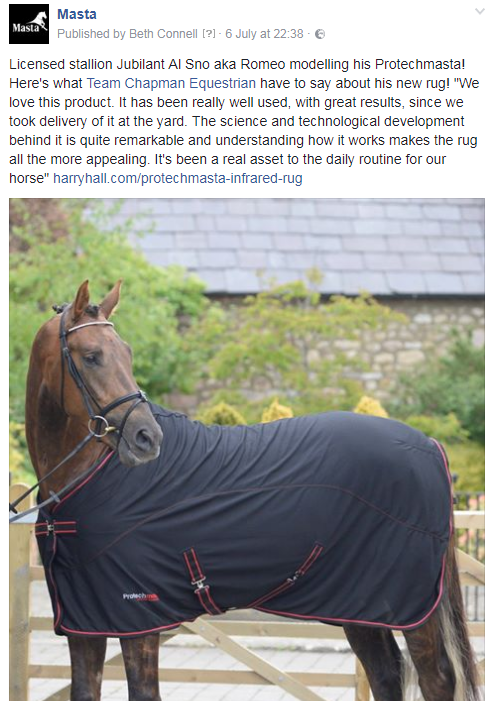 horse wearing protechmasta rug review