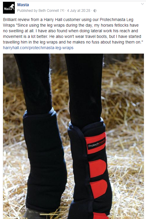 horse wearing protechmasta boots review