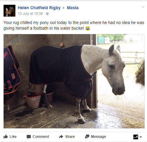 pony wearing protechmasta rug review