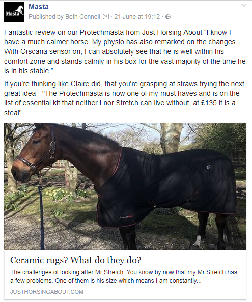 horse wearing protechmasta rug review