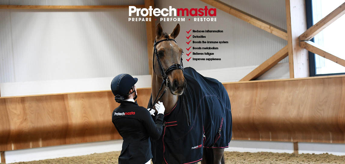 Win with Protechmasta | Harry Hall Win with Protechmasta | Harry Hall
