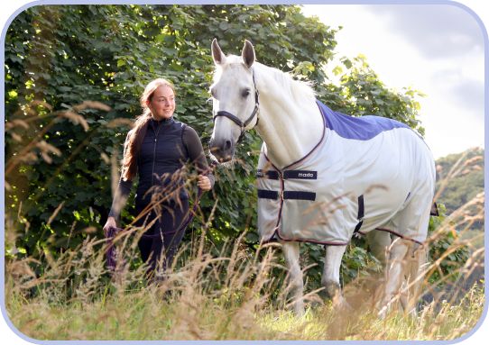 Shop Rugs from £19.95