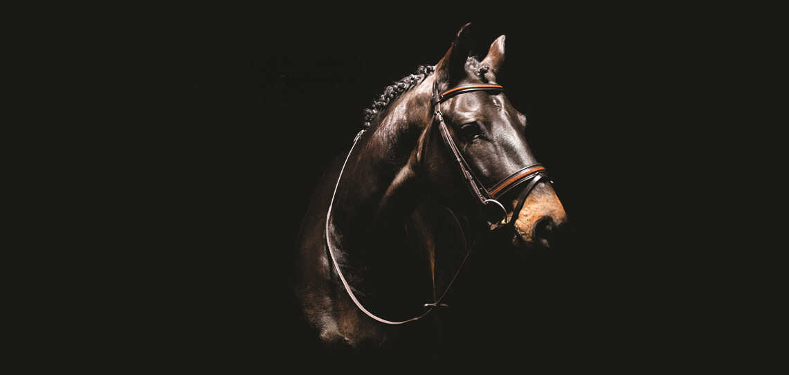 Bridlework Bridlework