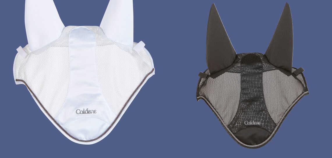 Fly Veils Fly Veils