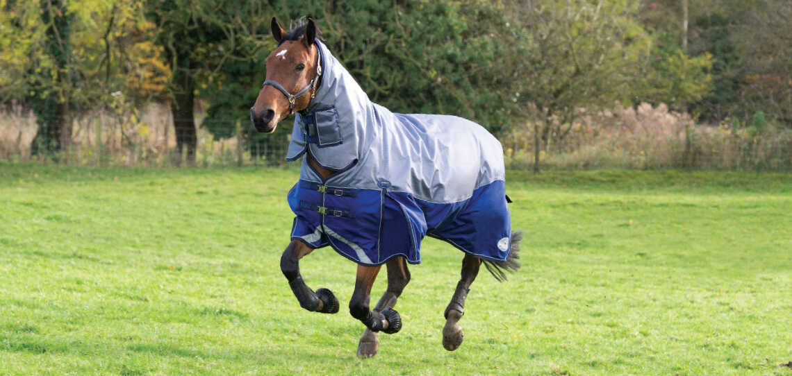 Horse Rugs Horse Rugs