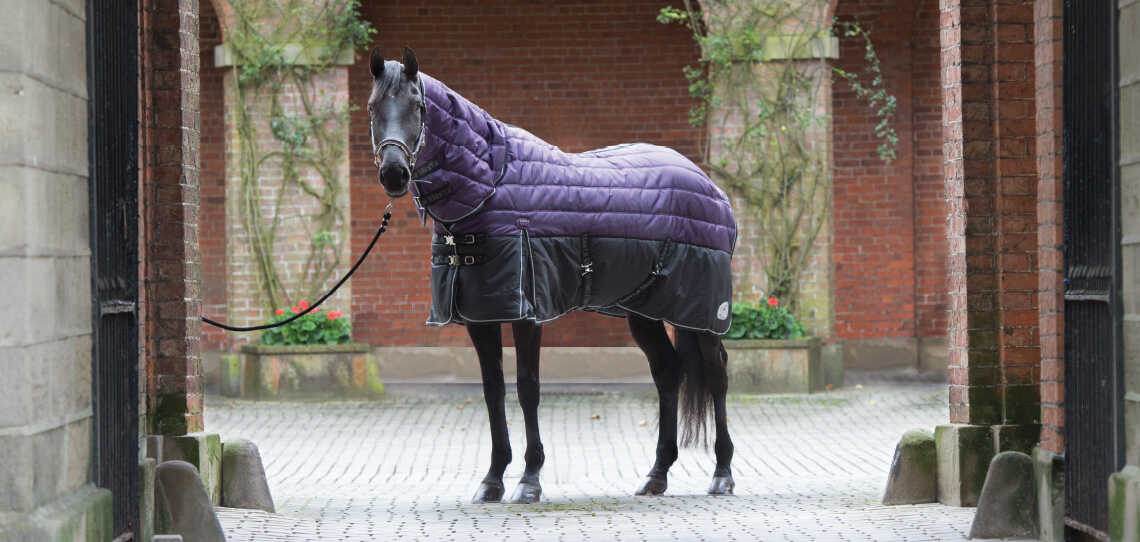 Horse & Stable Horse & Stable