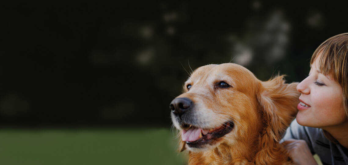 Introducing Verm-X pure and natural animal health products. Introducing Verm-X pure and natural animal health products.