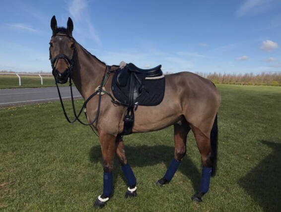 As used by Zara Tindall As used by Zara Tindall